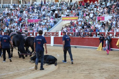 albacete (2)