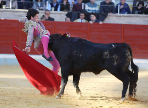 alfarero-12