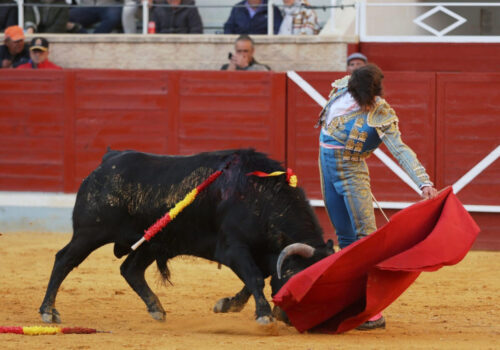 alfarero-15