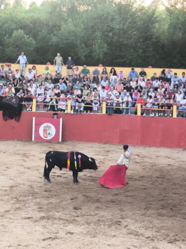 arauzo-2 (2)