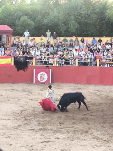 arauzo-2 (3)