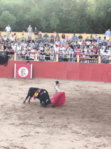 arauzo-2 (4)