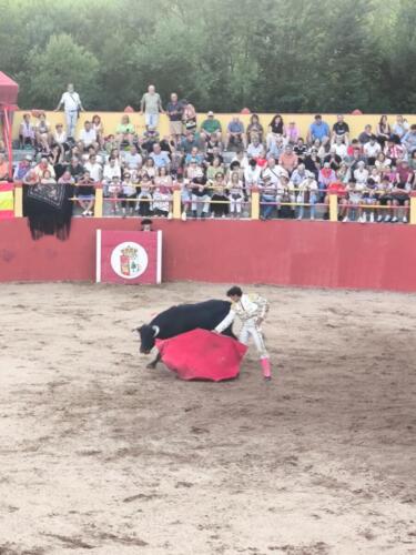 arauzo-2 (5)