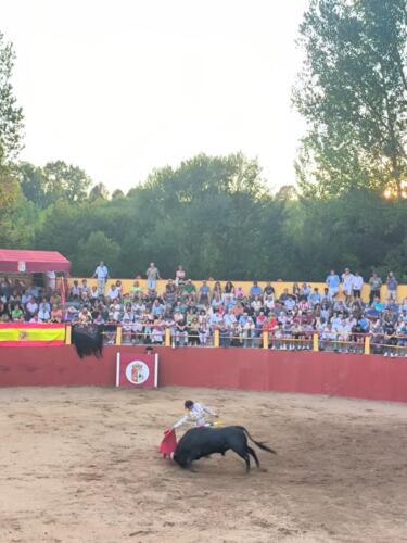 arauzo-2 (7)