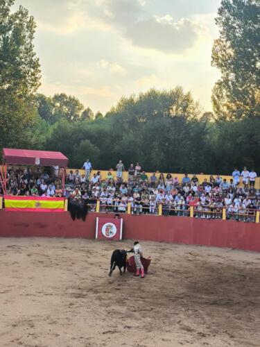 arauzo-2 (8)