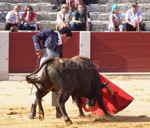 guijuelo-clase-práctica-11
