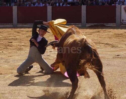 guijuelo-clase-práctica-14