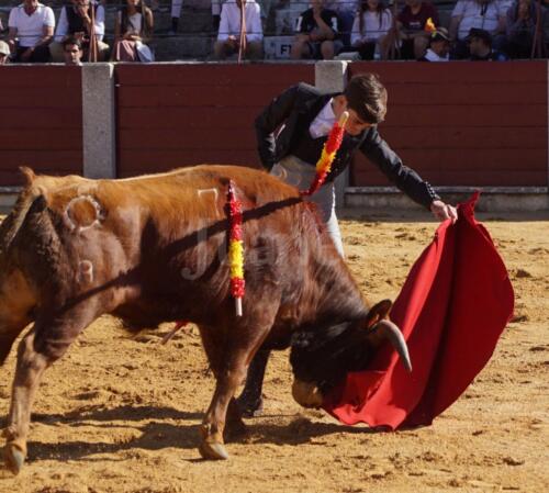 guijuelo-clase-práctica-17
