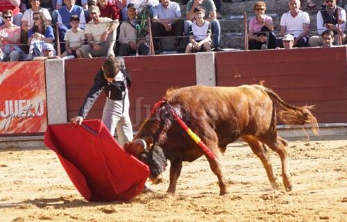 guijuelo-clase-práctica-19
